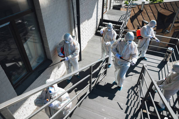 Asbestos and Lead Testing During Mold Inspection in Menominee, MI
