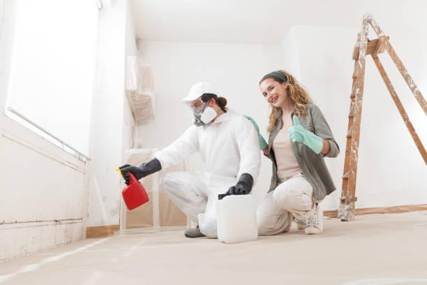 Professional Mold Removal in Menominee, MI