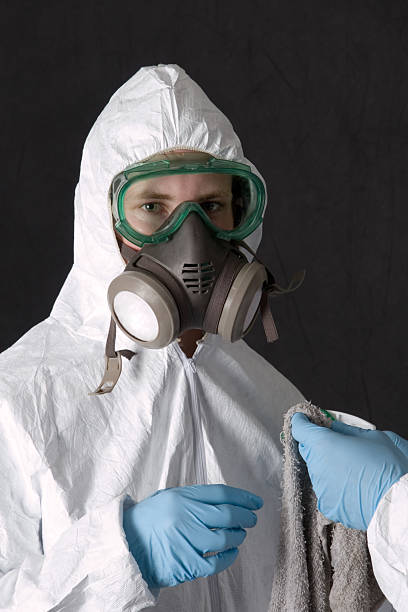 Best Water Damage & Mold Remediation  in Menonee, MI